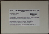 Image Associated With the Occurence
